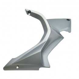 spoiler moteur gauche...