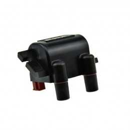 Bobine d'allumage, double...