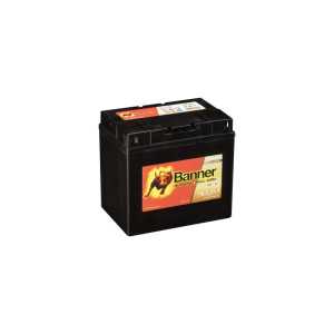 Batterie AGM 530 30