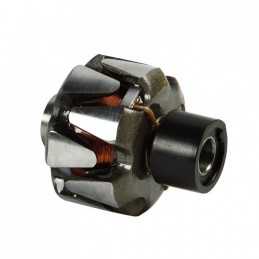 Rotor alternateur adaptable