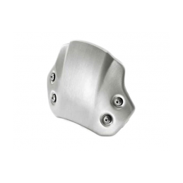 Bulle aluminium brossé main NINE-T # BMW Motos