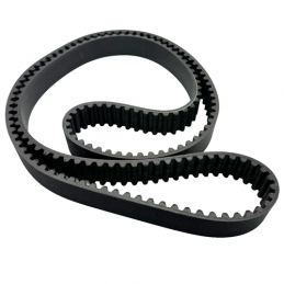 Courroie crantee F800