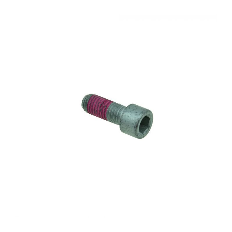Vis cylindrique R850, R1100, R1150 # BMW Motos