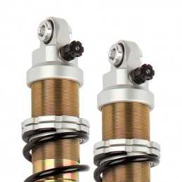 Amortisseur arrière adaptable