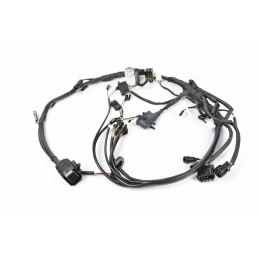 Faisceau partiel pour chassis R80, R100 # BMW Motos