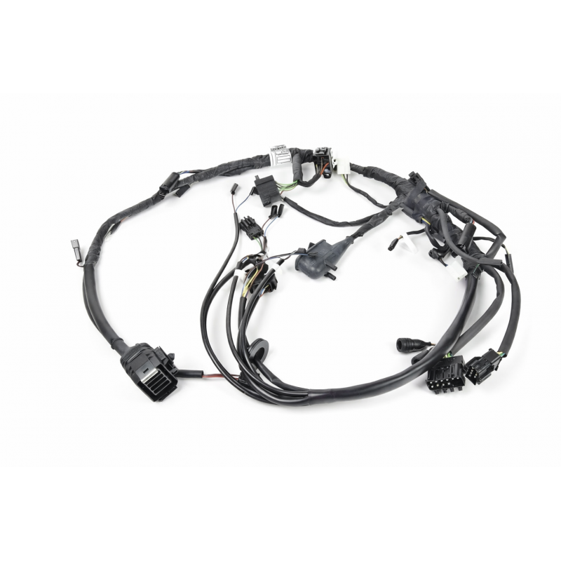 Faisceau partiel pour chassis R80, R100 # BMW Motos