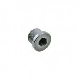 Vis-bouchon, aimant R1200