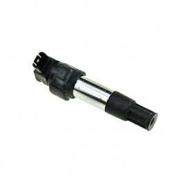 Bobine dallumage embout...