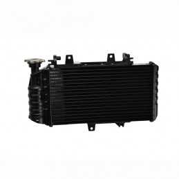 Radiateur F650, F700, F800