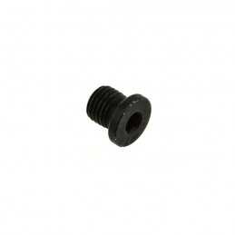 Vis bouchon K100, K1100, R80, R100